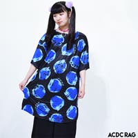ACDCRAG | ACDW0001759