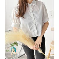 Dewlily | AMSW1778152