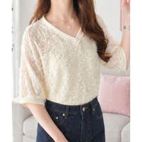 Dewlily | AMSW1778383