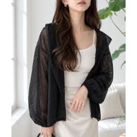 Dewlily | AMSW1778430
