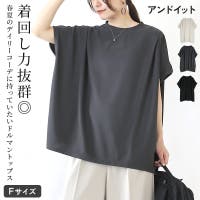 and it （アンドイット）のトップス/Ｔシャツ