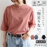 and it （アンドイット）のトップス/カットソー