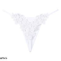 And Kawaii | AKIW0004643