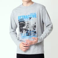 ARCADE | RQ000009562