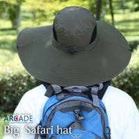 ARCADE | RQ000004225