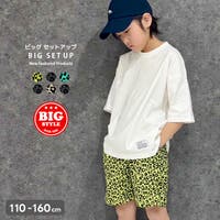 NEXT WALL | MSSK1628325