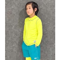 NEXT WALL | MSSK1628340