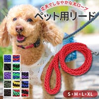 BACKYARD FAMILY（バックヤードファミリー）のファッション雑貨/ペットグッズ