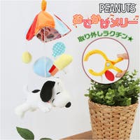 BACKYARD FAMILY | BCYW0016225