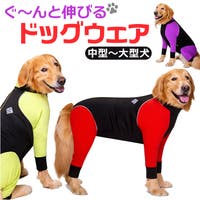 BACKYARD FAMILY（バックヤードファミリー）のファッション雑貨/ペットグッズ