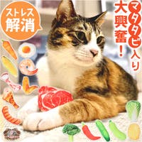 BACKYARD FAMILY（バックヤードファミリー）のファッション雑貨/ペットグッズ