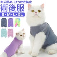 BACKYARD FAMILY（バックヤードファミリー）のファッション雑貨/ペットグッズ