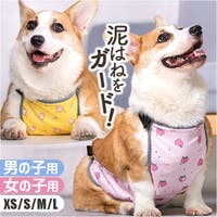 BACKYARD FAMILY（バックヤードファミリー）のファッション雑貨/ペットグッズ