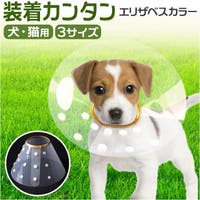BACKYARD FAMILY（バックヤードファミリー）のファッション雑貨/ペットグッズ