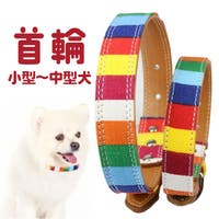 BACKYARD FAMILY（バックヤードファミリー）のファッション雑貨/ペットグッズ