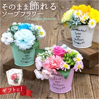 BACKYARD FAMILY（バックヤードファミリー）のファッション雑貨/その他ホビー・ペット雑貨
