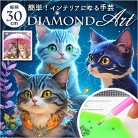 BACKYARD FAMILY（バックヤードファミリー）のファッション雑貨/その他ホビー・ペット雑貨