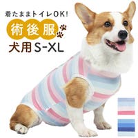 BACKYARD FAMILY（バックヤードファミリー）のファッション雑貨/ペットグッズ