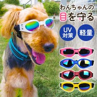 BACKYARD FAMILY（バックヤードファミリー）のファッション雑貨/ペットグッズ