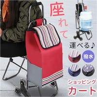 BACKYARD FAMILY（バックヤードファミリー）のバッグ・鞄/キャリーバッグ・スーツケース