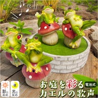 BACKYARD FAMILY（バックヤードファミリー）のその他/その他