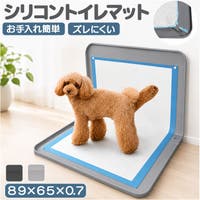 BACKYARD FAMILY | BCYW0044467