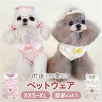 BACKYARD FAMILY（バックヤードファミリー）のファッション雑貨/ペットグッズ