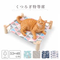 BACKYARD FAMILY（バックヤードファミリー）のファッション雑貨/ペットグッズ
