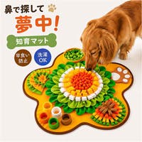 サンエックスレジェンド まじかる百貨店缶バッジ みかんぼうや(1)[品番