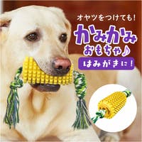 BACKYARD FAMILY（バックヤードファミリー）のファッション雑貨/ペットグッズ