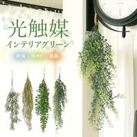 BACKYARD FAMILY（バックヤードファミリー）の寝具・インテリア雑貨/インテリア小物・置物