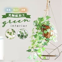 BACKYARD FAMILY（バックヤードファミリー）のファッション雑貨/その他ホビー・ペット雑貨
