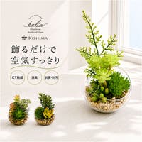 BACKYARD FAMILY（バックヤードファミリー）のファッション雑貨/その他雑貨