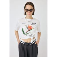 MOUSSY OUTLET（マウジーアウトレット）のトップス/Ｔシャツ