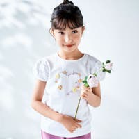 BeBe | BEBK0011342