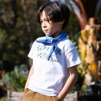 WASK（ワスク）のスーツ/セットアップ