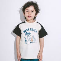 WASK | BEBK0011365