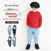 BRANSHES | BRSK0003674