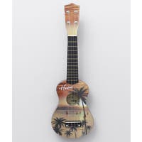 アミナコレクション  | ACNW0024713