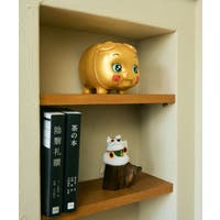 アミナコレクション  | ACNW0030263