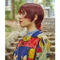 チャイハネ （チャイハネ）のトップス/Ｔシャツ