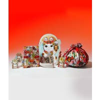 アミナコレクション  | ACNW0030342