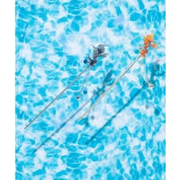 アミナコレクション  | ACNW0025147