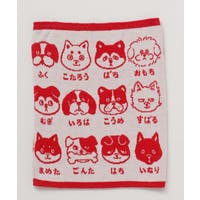 アミナコレクション  | ACNW0029985