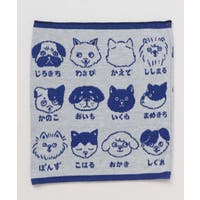 アミナコレクション  | ACNW0030029