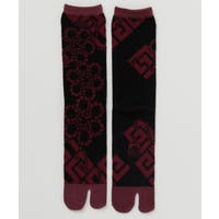 アミナコレクション | ACNW0030664