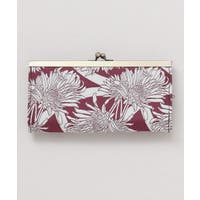 アミナコレクション  | ACNW0030147