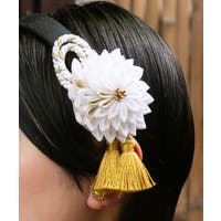 アミナコレクション （アミナコレクション ）のヘアアクセサリー/カチューシャ