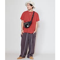 チャイハネ（チャイハネ）のトップス/Ｔシャツ