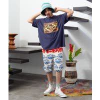 チャイハネ （チャイハネ）のトップス/Ｔシャツ